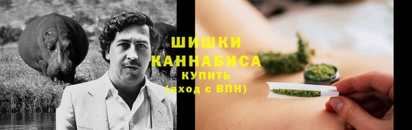 мдпв Корсаков