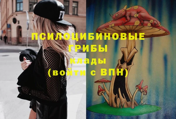 Альфа ПВП Коряжма