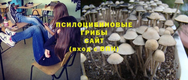 шишки Костерёво