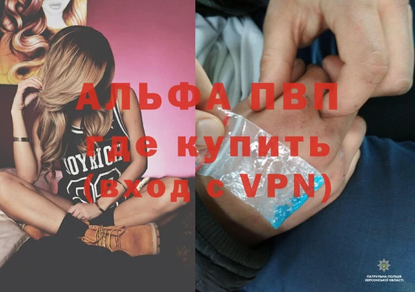 шишки Костерёво