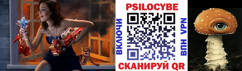 Галлюциногенные грибы прущие грибы Мелеуз